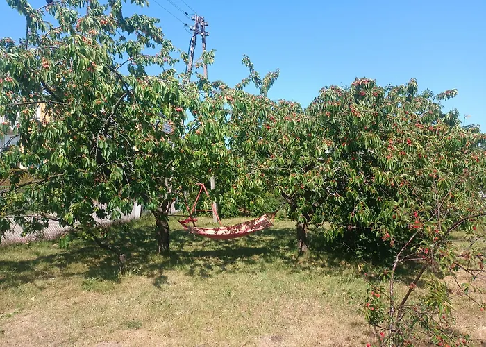 Ubytování v soukromí Goscinne Malinowka Jastrzębia Góra